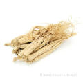 Ginseng Radix Et Rhizoma de qualité supérieure